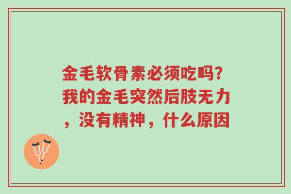 金毛软骨素必须吃吗?我的金毛突然后肢无力,没有精神,什么原因-第1张图片-超越 金毛软骨素必须吃吗?我的金毛突然后肢无力,没有精神,什么原因-第1张图片-超越