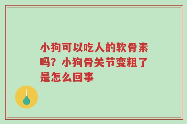 小狗可以吃人的软骨素吗?小狗骨关节变粗了是怎么回事-第1张图片-超越 小狗可以吃人的软骨素吗?小狗骨关节变粗了是怎么回事-第1张图片-超越
