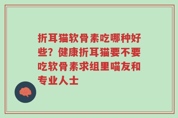 折耳猫软骨素吃哪种好些?健康折耳猫要不要吃软骨素求组里喵友和专业人士-第1张图片-超越 折耳猫软骨素吃哪种好些?健康折耳猫要不要吃软骨素求组里喵友和专业人士-第1张图片-超越