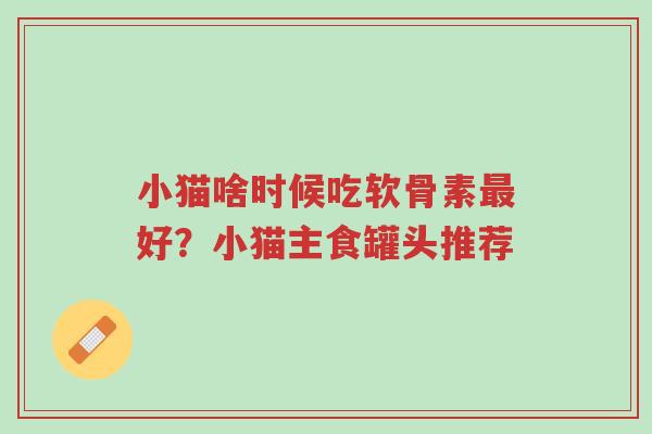 小猫啥时候吃软骨素最好?小猫主食罐头推荐-第1张图片-超越 小猫啥时候吃软骨素最好?小猫主食罐头推荐-第1张图片-超越