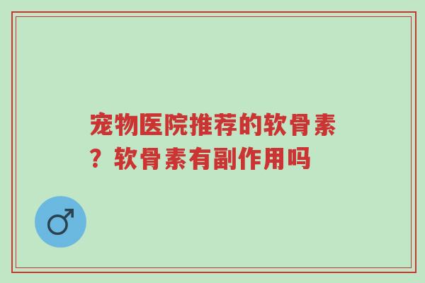 宠物医院推荐的软骨素?软骨素有副作用吗-第1张图片-超越 宠物医院推荐的软骨素?软骨素有副作用吗-第1张图片-超越