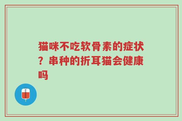 猫咪不吃软骨素的症状?串种的折耳猫会健康吗-第1张图片-超越 猫咪不吃软骨素的症状?串种的折耳猫会健康吗-第1张图片-超越