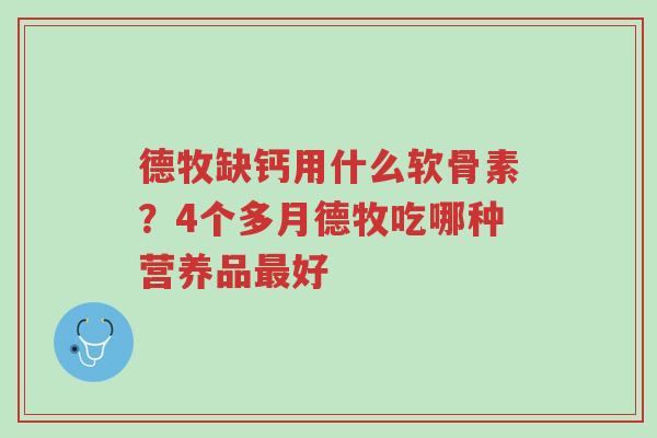 德牧缺钙用什么软骨素?4个多月德牧吃哪种营养品最好-第1张图片-超越 德牧缺钙用什么软骨素?4个多月德牧吃哪种营养品最好-第1张图片-超越