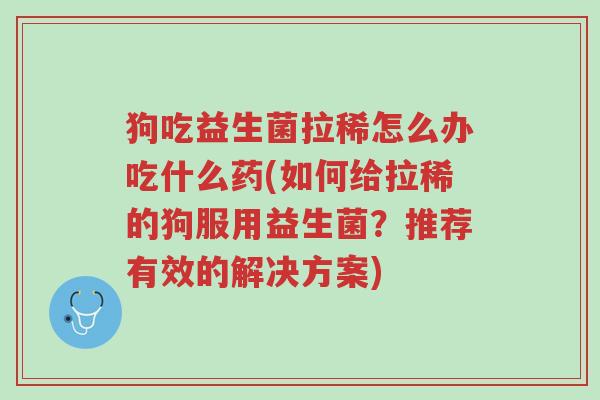 狗吃益生菌拉稀怎么办吃什么药(如何给拉稀的狗服用益生菌?推荐有效的解决方案)-第1张图片-超越 狗吃益生菌拉稀怎么办吃什么药(如何给拉稀的狗服用益生菌?推荐有效的解决方案)-第1张图片-超越