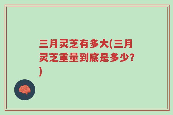 三月灵芝有多大(三月灵芝重量到底是多少?)-第1张图片-超越 三月灵芝有多大(三月灵芝重量到底是多少?)-第1张图片-超越