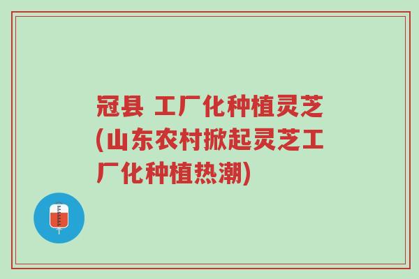 冠县 工厂化种植灵芝(山东农村掀起灵芝工厂化种植热潮)-第1张图片-超越 冠县 工厂化种植灵芝(山东农村掀起灵芝工厂化种植热潮)-第1张图片-超越