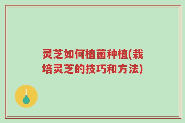 灵芝如何植菌种植(栽培灵芝的技巧和方法)-第1张图片-超越 灵芝如何植菌种植(栽培灵芝的技巧和方法)-第1张图片-超越