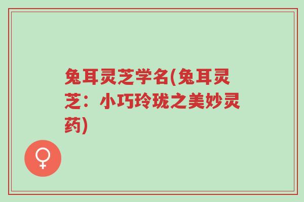 兔耳灵芝学名(兔耳灵芝:小巧玲珑之美妙灵药)-第1张图片-超越 兔耳灵芝学名(兔耳灵芝:小巧玲珑之美妙灵药)-第1张图片-超越