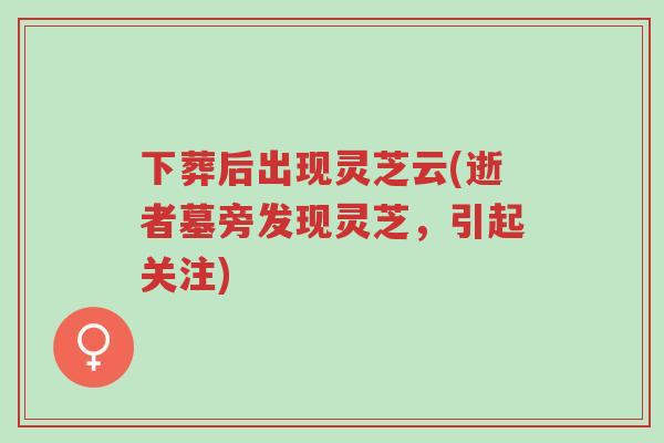 下葬后出现灵芝云(逝者墓旁发现灵芝,引起关注)-第1张图片-超越 下葬后出现灵芝云(逝者墓旁发现灵芝,引起关注)-第1张图片-超越
