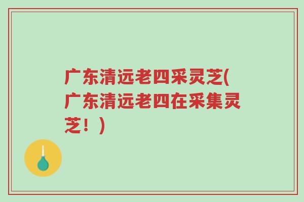 广东清远老四采灵芝(广东清远老四在采集灵芝!)-第1张图片-超越 广东清远老四采灵芝(广东清远老四在采集灵芝!)-第1张图片-超越