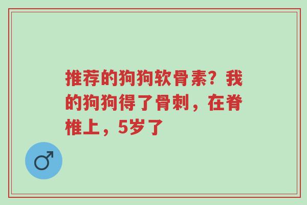推荐的狗狗软骨素?我的狗狗得了骨刺,在脊椎上,5岁了-第1张图片-超越 推荐的狗狗软骨素?我的狗狗得了骨刺,在脊椎上,5岁了-第1张图片-超越