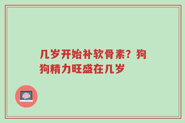 几岁开始补软骨素？狗狗精力旺盛在几岁-第1张图片-超越
