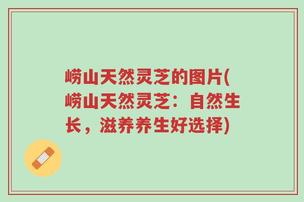 崂山天然灵芝的图片(崂山天然灵芝:自然生长,滋养养生好选择)-第1张图片-超越 崂山天然灵芝的图片(崂山天然灵芝:自然生长,滋养养生好选择)-第1张图片-超越