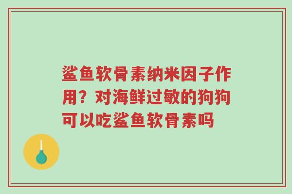 鲨鱼软骨素纳米因子作用?对海鲜过敏的狗狗可以吃鲨鱼软骨素吗-第1张图片-超越 鲨鱼软骨素纳米因子作用?对海鲜过敏的狗狗可以吃鲨鱼软骨素吗-第1张图片-超越