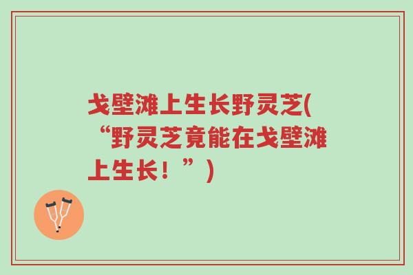 戈壁滩上生长野灵芝(“野灵芝竟能在戈壁滩上生长！”)-第1张图片-超越