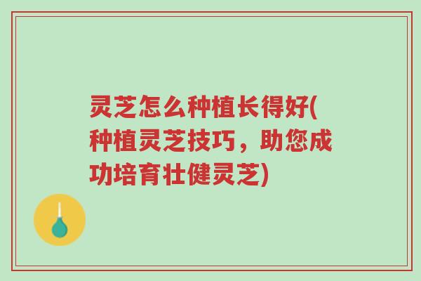 灵芝怎么种植长得好(种植灵芝技巧,助您成功培育壮健灵芝)-第1张图片-超越 灵芝怎么种植长得好(种植灵芝技巧,助您成功培育壮健灵芝)-第1张图片-超越