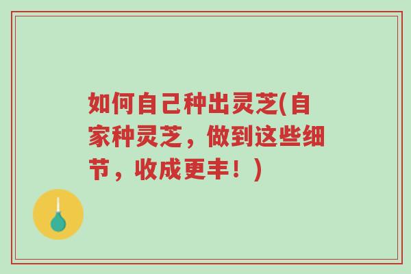 如何自己种出灵芝(自家种灵芝,做到这些细节,收成更丰!)-第1张图片-超越 如何自己种出灵芝(自家种灵芝,做到这些细节,收成更丰!)-第1张图片-超越