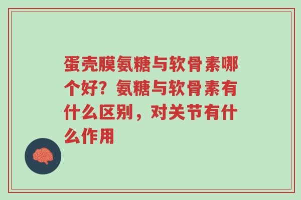蛋壳膜氨糖与软骨素哪个好?氨糖与软骨素有什么区别,对关节有什么作用-第1张图片-超越 蛋壳膜氨糖与软骨素哪个好?氨糖与软骨素有什么区别,对关节有什么作用-第1张图片-超越