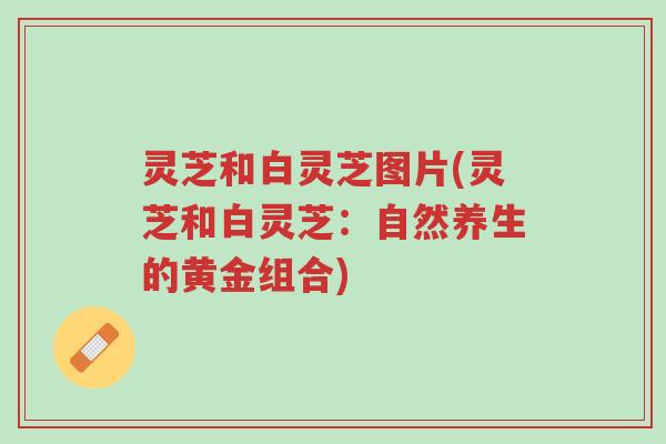 灵芝和白灵芝图片(灵芝和白灵芝:自然养生的黄金组合)-第1张图片-超越 灵芝和白灵芝图片(灵芝和白灵芝:自然养生的黄金组合)-第1张图片-超越