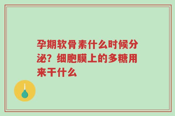 孕期软骨素什么时候分泌?细胞膜上的多糖用来干什么-第1张图片-超越 孕期软骨素什么时候分泌?细胞膜上的多糖用来干什么-第1张图片-超越