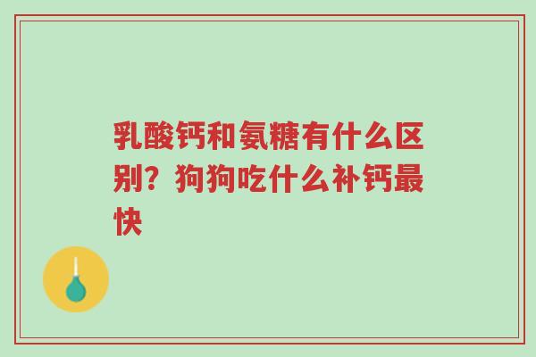 乳酸钙和氨糖有什么区别?狗狗吃什么补钙最快-第1张图片-超越 乳酸钙和氨糖有什么区别?狗狗吃什么补钙最快-第1张图片-超越