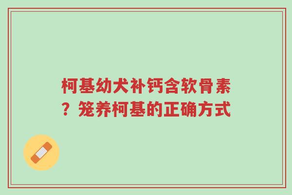 柯基幼犬补钙含软骨素?笼养柯基的正确方式-第1张图片-超越 柯基幼犬补钙含软骨素?笼养柯基的正确方式-第1张图片-超越