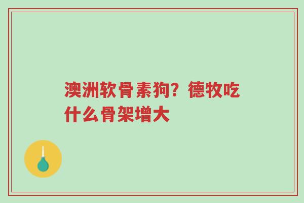 澳洲软骨素狗?德牧吃什么骨架增大-第1张图片-超越 澳洲软骨素狗?德牧吃什么骨架增大-第1张图片-超越