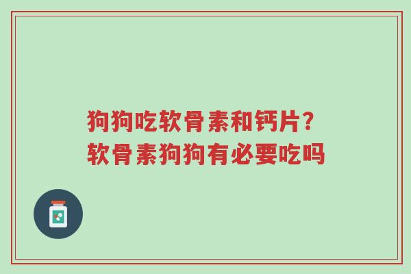 狗狗吃软骨素和钙片？软骨素狗狗有必要吃吗-第1张图片-超越