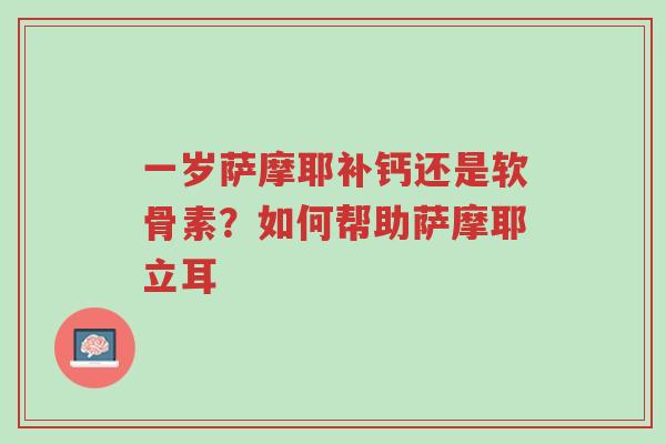 一岁萨摩耶补钙还是软骨素?如何帮助萨摩耶立耳-第1张图片-超越 一岁萨摩耶补钙还是软骨素?如何帮助萨摩耶立耳-第1张图片-超越