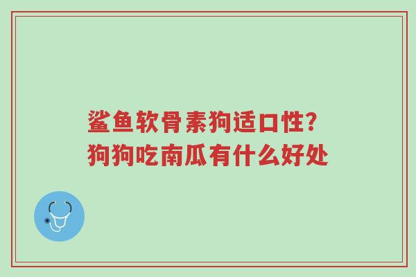 鲨鱼软骨素狗适口性?狗狗吃南瓜有什么好处-第1张图片-超越 鲨鱼软骨素狗适口性?狗狗吃南瓜有什么好处-第1张图片-超越