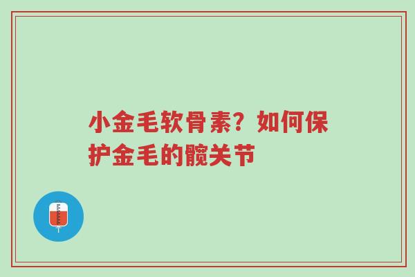 小金毛软骨素?如何保护金毛的髋关节-第1张图片-超越 小金毛软骨素?如何保护金毛的髋关节-第1张图片-超越