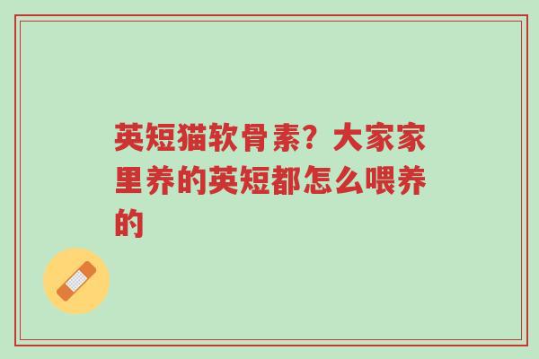 英短猫软骨素?大家家里养的英短都怎么喂养的-第1张图片-超越 英短猫软骨素?大家家里养的英短都怎么喂养的-第1张图片-超越