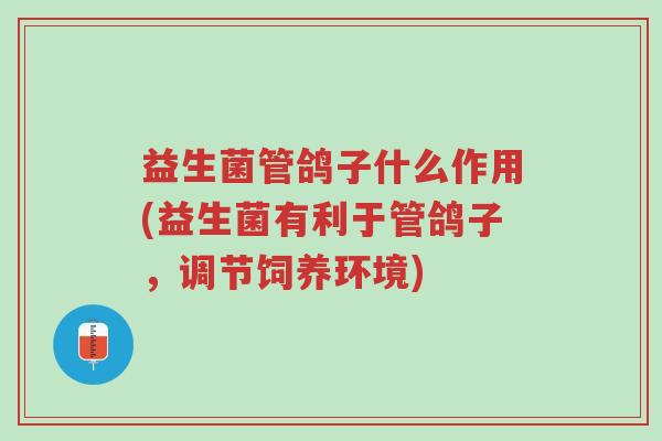 益生菌管鸽子什么作用(益生菌有利于管鸽子,调节饲养环境)-第1张图片-超越 益生菌管鸽子什么作用(益生菌有利于管鸽子,调节饲养环境)-第1张图片-超越