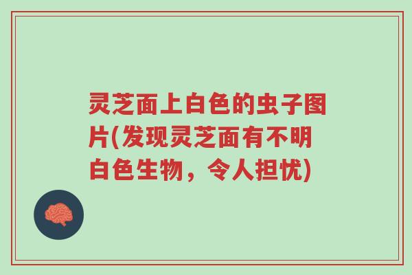灵芝面上白色的虫子图片(发现灵芝面有不明白色生物,令人担忧)-第1张图片-超越 灵芝面上白色的虫子图片(发现灵芝面有不明白色生物,令人担忧)-第1张图片-超越