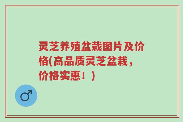 灵芝养殖盆栽图片及价格(高品质灵芝盆栽,价格实惠!)-第1张图片-超越 灵芝养殖盆栽图片及价格(高品质灵芝盆栽,价格实惠!)-第1张图片-超越