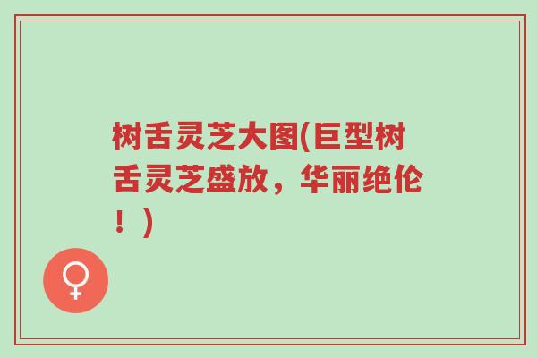树舌灵芝大图(巨型树舌灵芝盛放,华丽绝伦!)-第1张图片-超越 树舌灵芝大图(巨型树舌灵芝盛放,华丽绝伦!)-第1张图片-超越