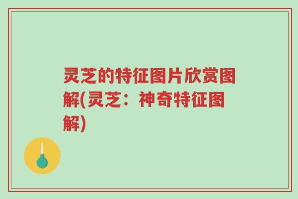 灵芝的特征图片欣赏图解(灵芝:神奇特征图解)-第1张图片-超越 灵芝的特征图片欣赏图解(灵芝:神奇特征图解)-第1张图片-超越