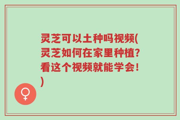 灵芝可以土种吗视频(灵芝如何在家里种植？看这个视频就能学会！)-第1张图片-超越