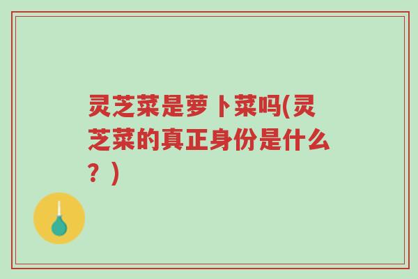 灵芝菜是萝卜菜吗(灵芝菜的真正身份是什么？)-第1张图片-超越