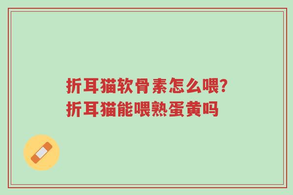 折耳猫软骨素怎么喂?折耳猫能喂熟蛋黄吗-第1张图片-超越 折耳猫软骨素怎么喂?折耳猫能喂熟蛋黄吗-第1张图片-超越