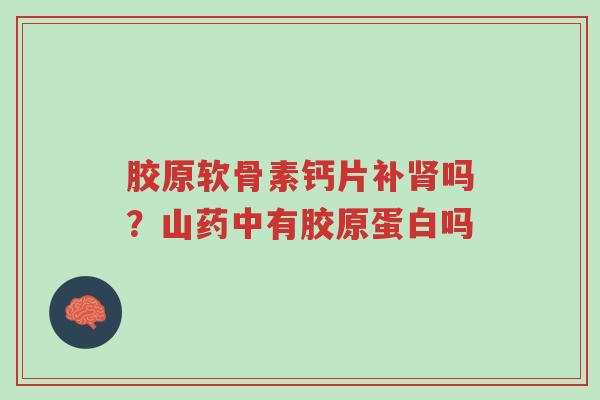 胶原软骨素钙片补肾吗?山药中有胶原蛋白吗-第1张图片-超越 胶原软骨素钙片补肾吗?山药中有胶原蛋白吗-第1张图片-超越
