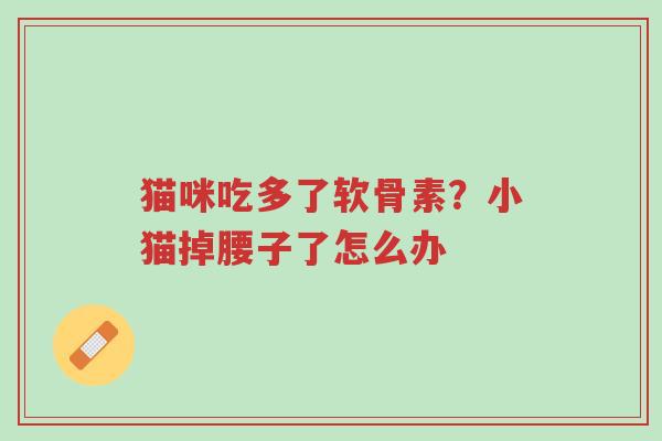 猫咪吃多了软骨素?小猫掉腰子了怎么办-第1张图片-超越 猫咪吃多了软骨素?小猫掉腰子了怎么办-第1张图片-超越