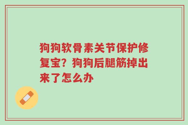 狗狗软骨素关节保护修复宝?狗狗后腿筋掉出来了怎么办-第1张图片-超越 狗狗软骨素关节保护修复宝?狗狗后腿筋掉出来了怎么办-第1张图片-超越