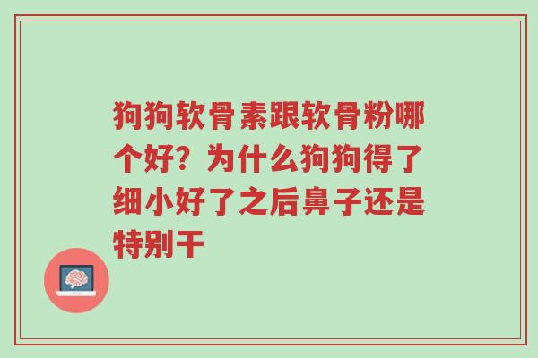 狗狗软骨素跟软骨粉哪个好?为什么狗狗得了细小好了之后鼻子还是特别干-第1张图片-超越 狗狗软骨素跟软骨粉哪个好?为什么狗狗得了细小好了之后鼻子还是特别干-第1张图片-超越