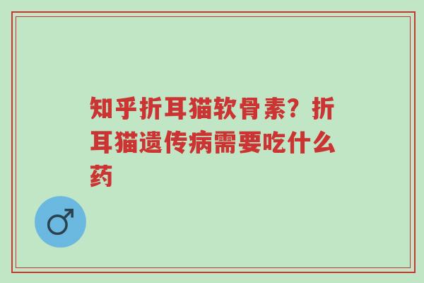 知乎折耳猫软骨素?折耳猫遗传病需要吃什么药-第1张图片-超越 知乎折耳猫软骨素?折耳猫遗传病需要吃什么药-第1张图片-超越