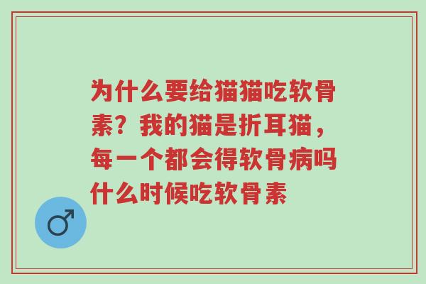 为什么要给猫猫吃软骨素?我的猫是折耳猫,每一个都会得软骨病吗什么时候吃软骨素-第1张图片-超越 为什么要给猫猫吃软骨素?我的猫是折耳猫,每一个都会得软骨病吗什么时候吃软骨素-第1张图片-超越