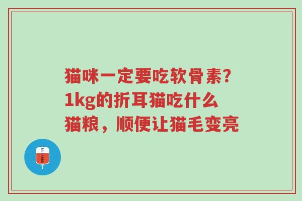 猫咪一定要吃软骨素?1kg的折耳猫吃什么猫粮,顺便让猫毛变亮-第1张图片-超越 猫咪一定要吃软骨素?1kg的折耳猫吃什么猫粮,顺便让猫毛变亮-第1张图片-超越
