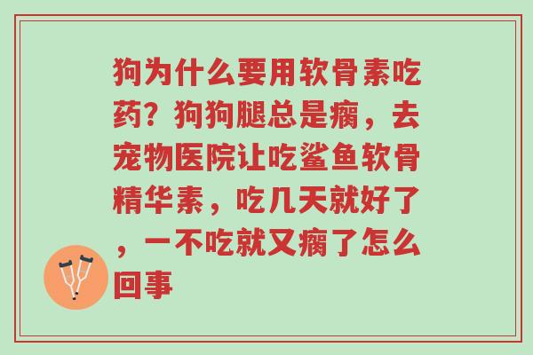 狗为什么要用软骨素吃药?狗狗腿总是瘸,去宠物医院让吃鲨鱼软骨精华素,吃几天就好了,一不吃就又瘸了怎么回事-第1张图片-超越 狗为什么要用软骨素吃药?狗狗腿总是瘸,去宠物医院让吃鲨鱼软骨精华素,吃几天就好了,一不吃就又瘸了怎么回事-第1张图片-超越