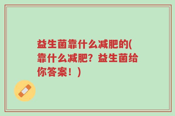 益生菌靠什么减肥的(靠什么减肥?益生菌给你答案!)-第1张图片-超越 益生菌靠什么减肥的(靠什么减肥?益生菌给你答案!)-第1张图片-超越