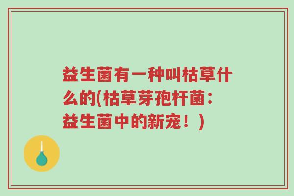 益生菌有一种叫枯草什么的(枯草芽孢杆菌:益生菌中的新宠!)-第1张图片-超越 益生菌有一种叫枯草什么的(枯草芽孢杆菌:益生菌中的新宠!)-第1张图片-超越